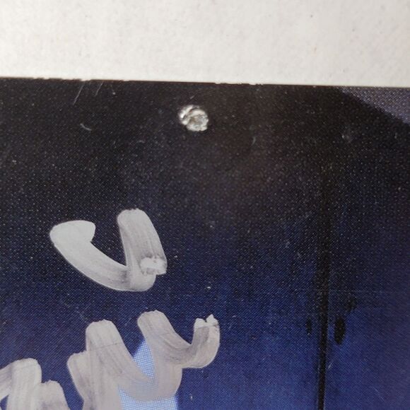 Houston Texans Cheerleaders Picture w/ 11 Autographs 8.5" X 11" - Picture 8 of 9